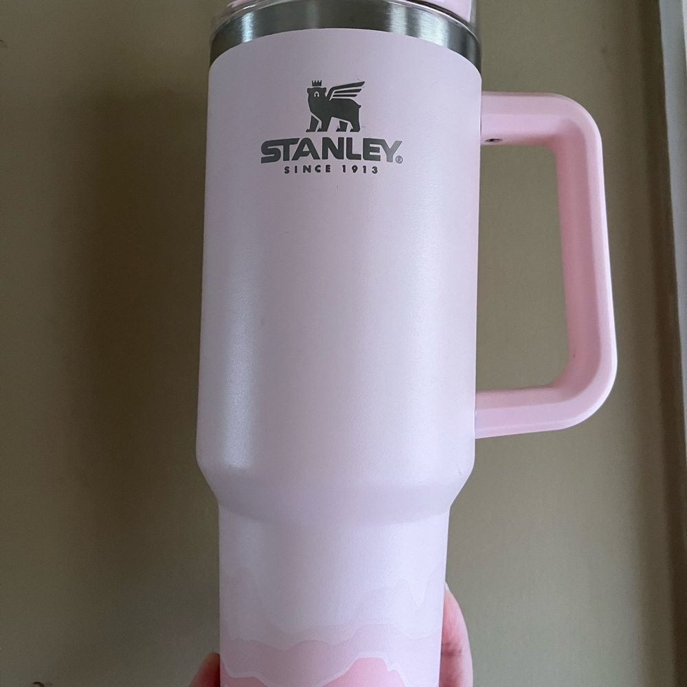Stanley 40oz with mountains